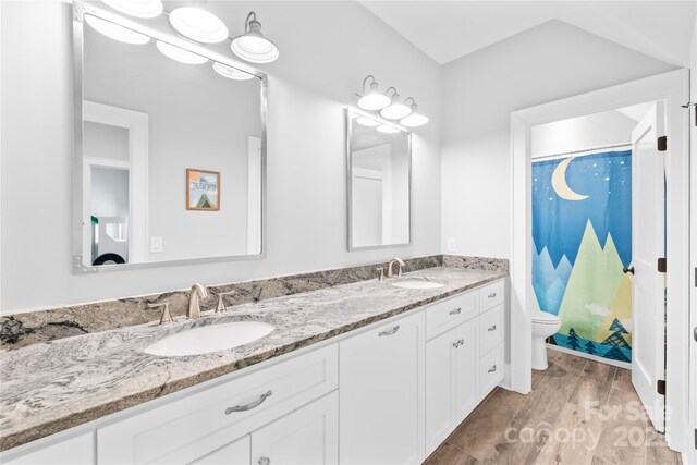 108 Castleview Ln, Mooresville, NC 28115 - bathroom with a shower with shower curtain, double vanity, toilet, and a sink