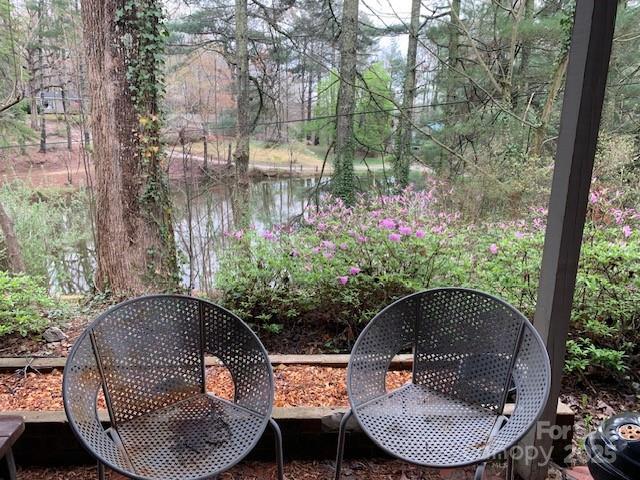 101 Lakemont Dr, Flat Rock, NC 28731 - exterior space