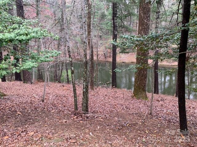 101 Lakemont Dr, Flat Rock, NC 28731 - property view of water with a wooded view