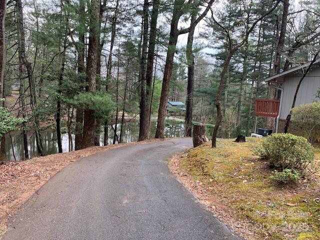 101 Lakemont Dr, Flat Rock, NC 28731 - view of road