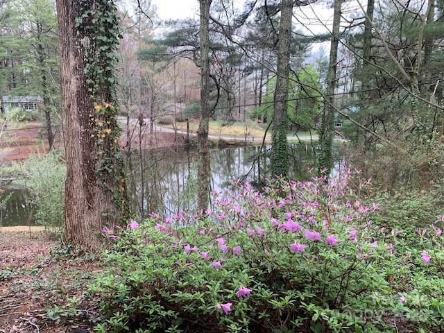 101 Lakemont Dr, Flat Rock, NC 28731 - view of water feature featuring a wooded view