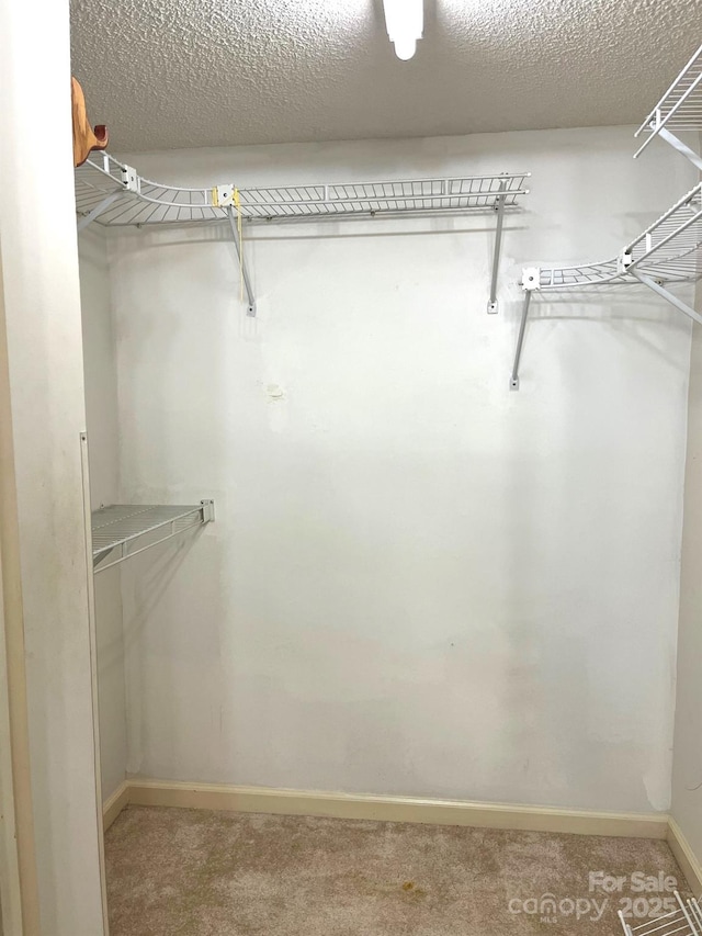5810 Harris Grove Ln, Charlotte, NC 28212 - walk in closet featuring light carpet