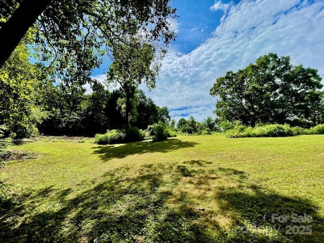 19 Old Patton Hill Rd, Swannanoa, NC 28778 - photo 25