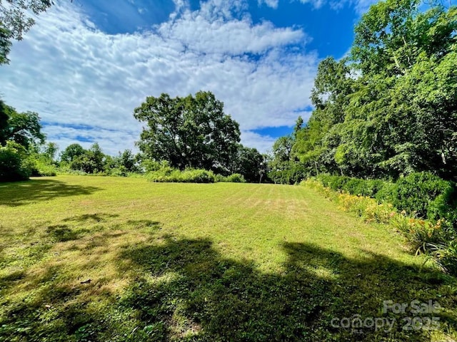 19 Old Patton Hill Rd, Swannanoa, NC 28778 - photo 26