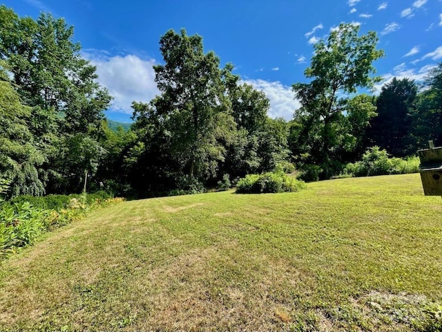 19 Old Patton Hill Rd, Swannanoa, NC 28778 - photo 27