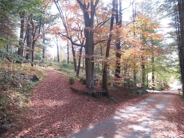 19 Old Patton Hill Rd, Swannanoa, NC 28778 - photo 28