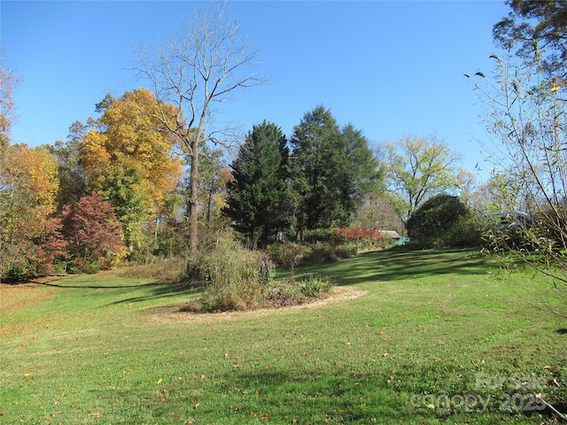 19 Old Patton Hill Rd, Swannanoa, NC 28778 - photo 31
