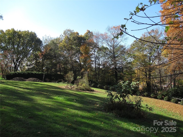 19 Old Patton Hill Rd, Swannanoa, NC 28778 - photo 33