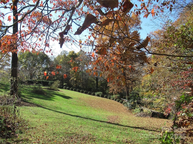 19 Old Patton Hill Rd, Swannanoa, NC 28778 - photo 34