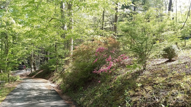 19 Old Patton Hill Rd, Swannanoa, NC 28778 - photo 35
