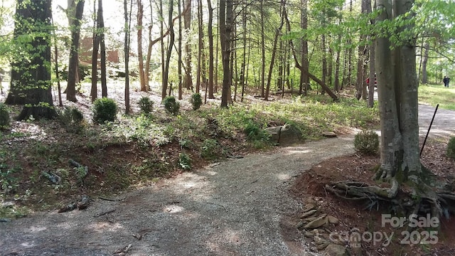 19 Old Patton Hill Rd, Swannanoa, NC 28778 - photo 37