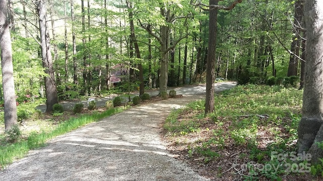 19 Old Patton Hill Rd, Swannanoa, NC 28778 - photo 38