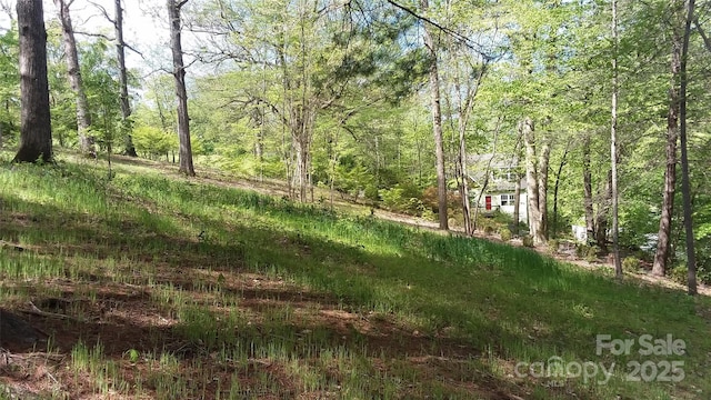 19 Old Patton Hill Rd, Swannanoa, NC 28778 - photo 39