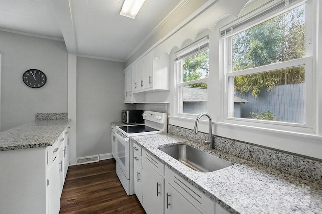 kitchen with a sink, stainless steel microwave, electric range, dark wood-type flooring, and ornamental molding