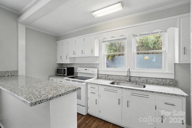 kitchen with white electric range oven, stainless steel microwave, ornamental molding, and a sink