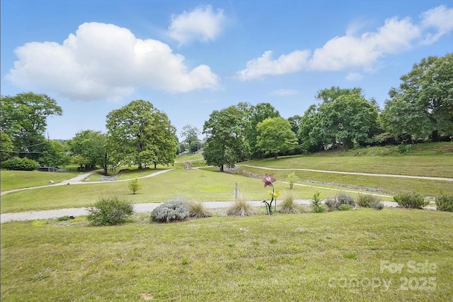 view of community featuring a lawn