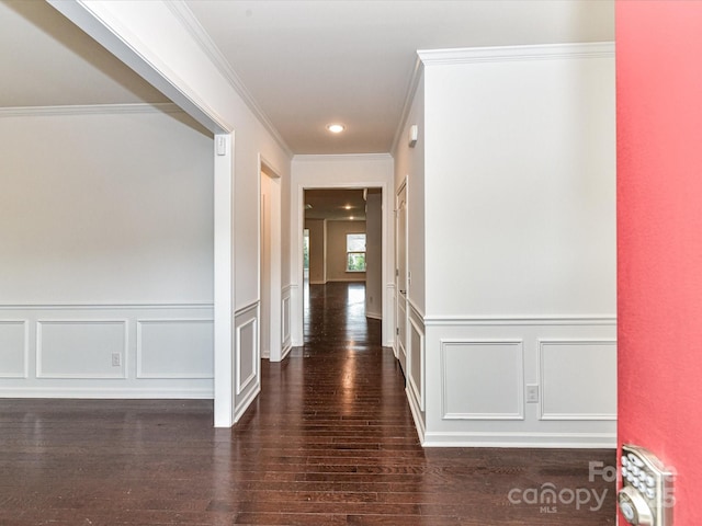 15747 Reynolds Dr, Indian Land, SC 29707 - hall with a wainscoted wall, wood finished floors, ornamental molding, and a decorative wall