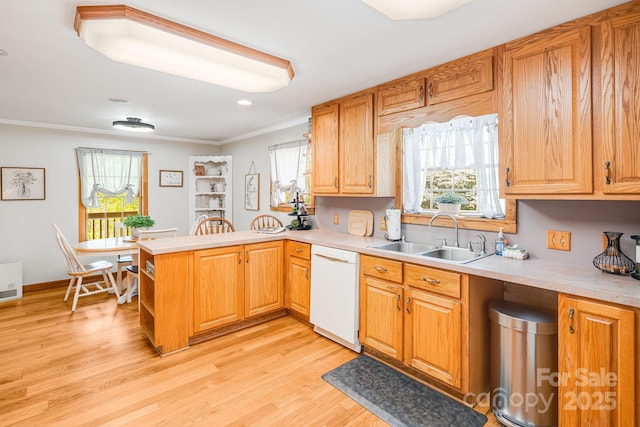 kitchen featuring white dishwasher, light countertops, and a sink