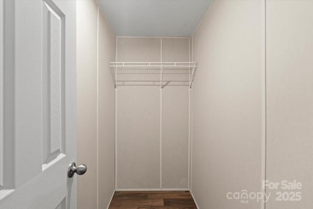 walk in closet featuring dark wood-type flooring