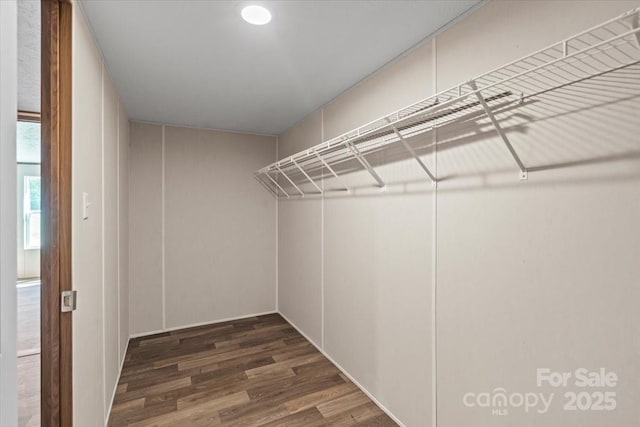 walk in closet featuring wood finished floors