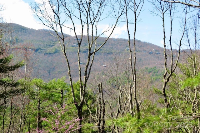 property view of mountains with a forest view