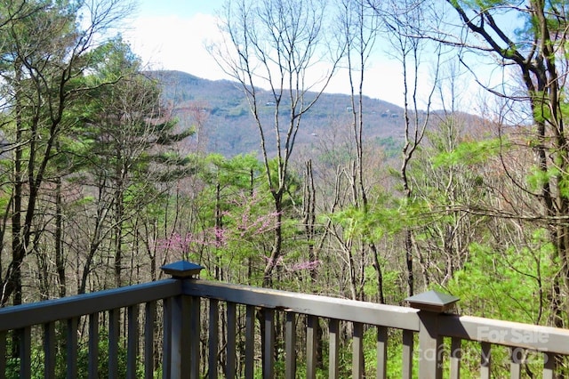 view of mountain feature with a wooded view