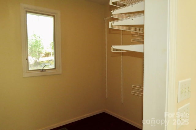 view of walk in closet