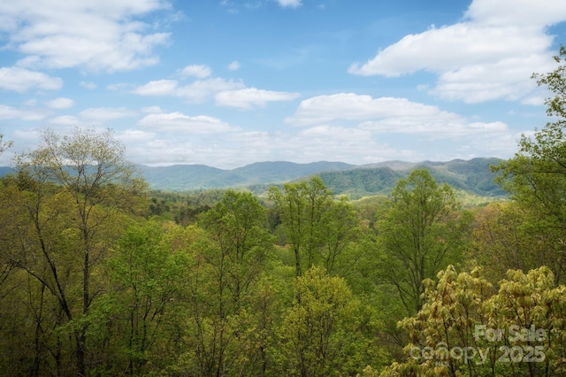 property view of mountains with a forest view