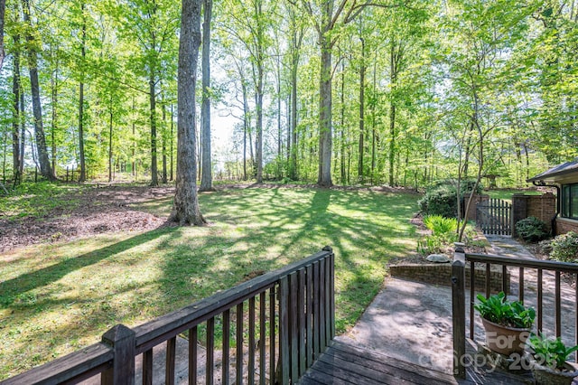 1058 General Hoke Dr, Lincolnton, NC 28092 - view of yard