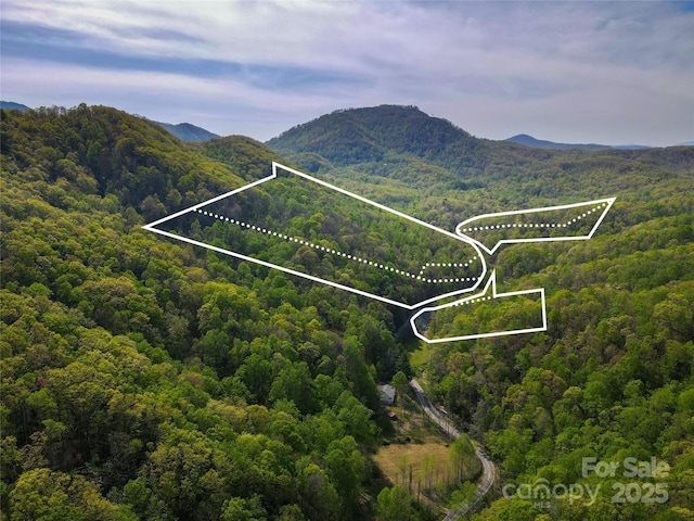 000 Cedar Creek Rd, Black Mountain, NC 28711