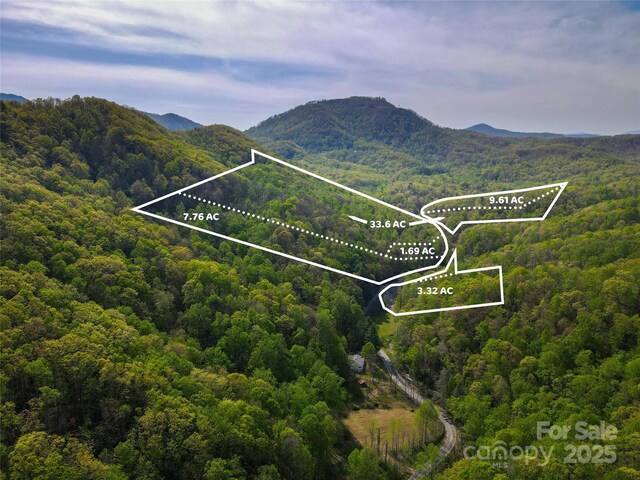000 Cedar Creek Rd, Black Mountain, NC 28711