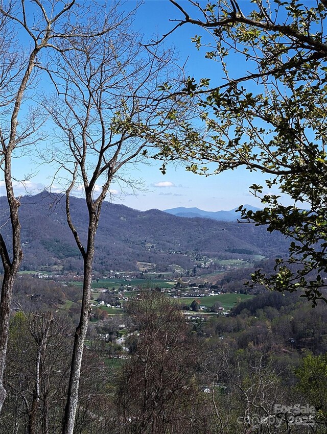 40 Dorchester Rd, Waynesville, NC 28785 - photo 1