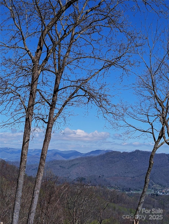 40 Dorchester Rd, Waynesville, NC 28785 - photo 2