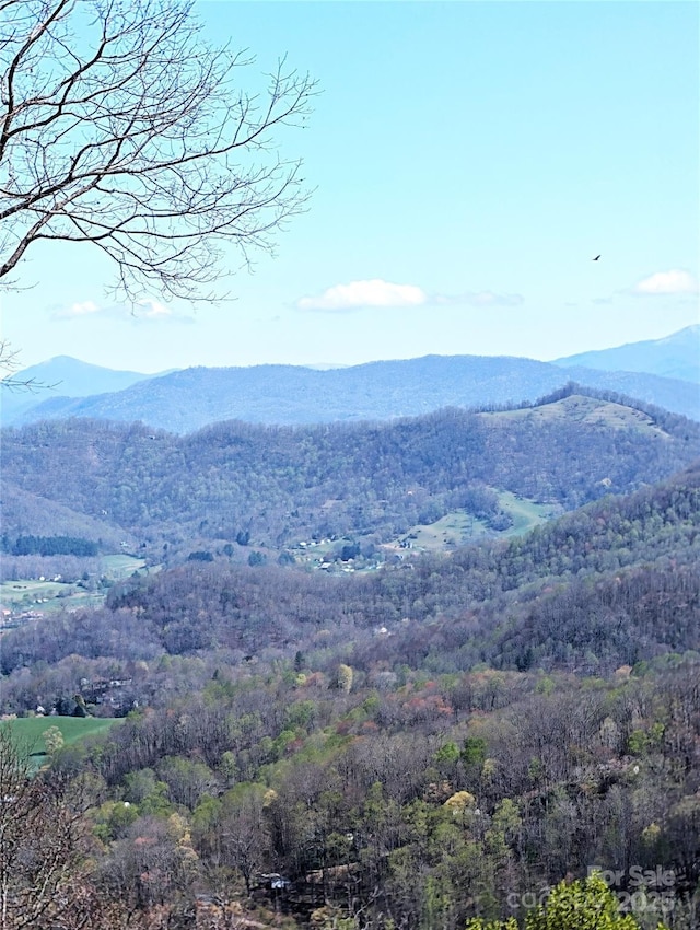 40 Dorchester Rd, Waynesville, NC 28785 - photo 3