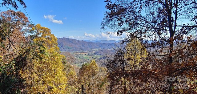 40 Dorchester Rd, Waynesville, NC 28785 - photo 4