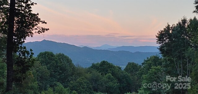 40 Dorchester Rd, Waynesville, NC 28785 - photo 6