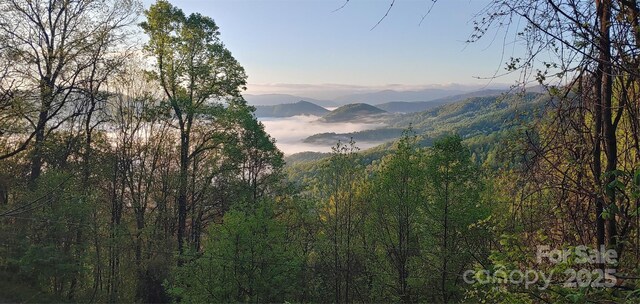 40 Dorchester Rd, Waynesville, NC 28785 - photo 7