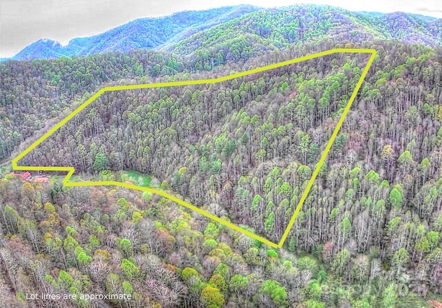 00 Laurel Valley Rd, Mars Hill, NC 28754