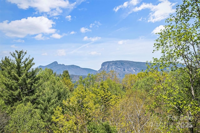 44 Sycamore Dr, Nebo, NC 28761 - property view of mountains with a wooded view