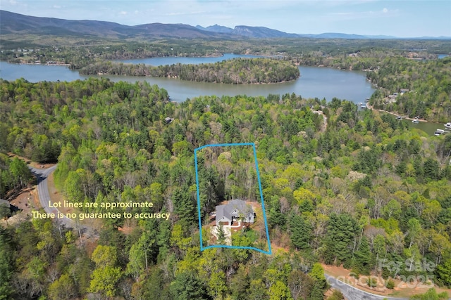 44 Sycamore Dr, Nebo, NC 28761 - drone / aerial view featuring a forest view and a water and mountain view