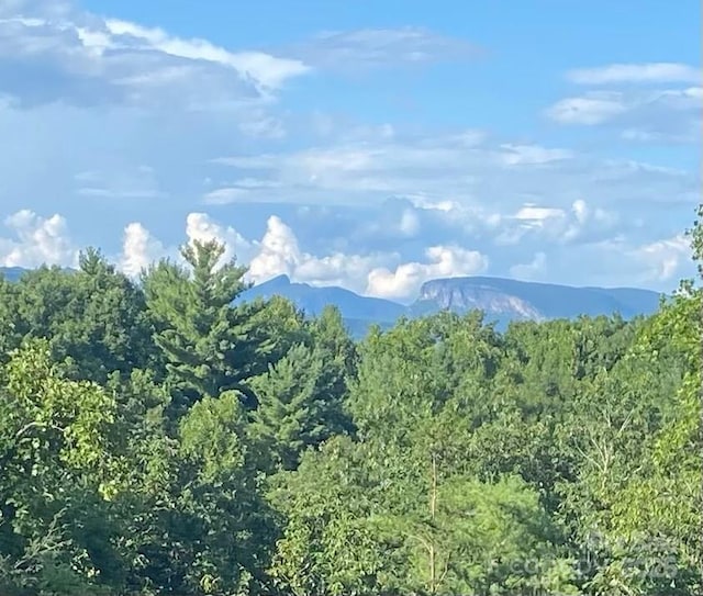 44 Sycamore Dr, Nebo, NC 28761 - view of mountain feature featuring a view of trees