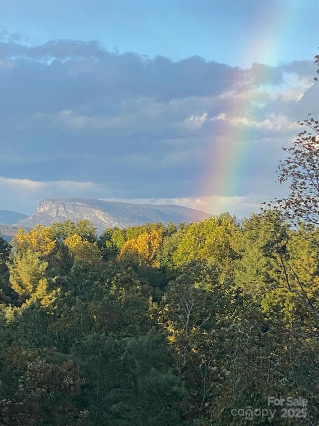 44 Sycamore Dr, Nebo, NC 28761 - property view of mountains featuring a view of trees