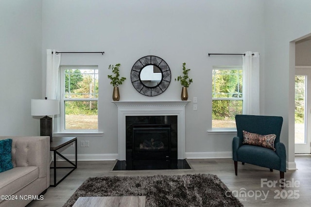1465 Mocksville Hwy Unit 20, Statesville, NC 28625 - living room with baseboards, a high ceiling, wood finished floors, and a fireplace with flush hearth