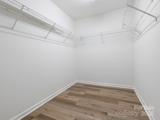 spacious closet with wood finished floors