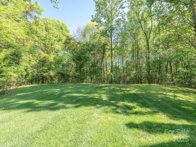 view of yard featuring a wooded view