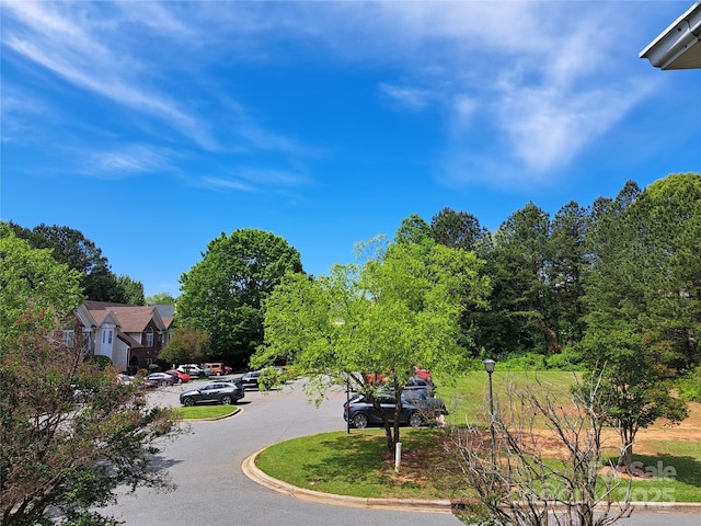 2527 Carya Pond Ln, Charlotte, NC 28212 - view of street with curbs and street lighting