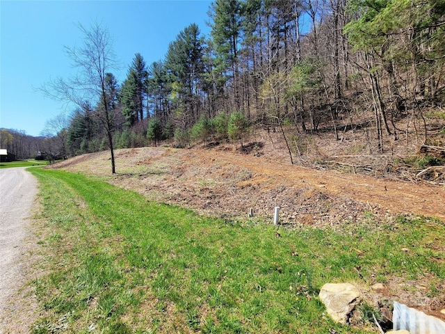 300 Shining Rock Dr Unit 25, Canton, NC 28716