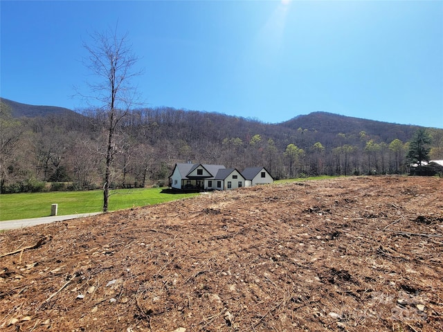 300 Shining Rock Dr Unit 25, Canton, NC 28716