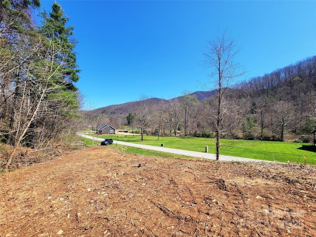 300 Shining Rock Dr Unit 25, Canton, NC 28716
