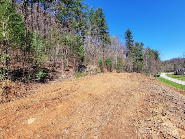 300 Shining Rock Dr Unit 25, Canton, NC 28716